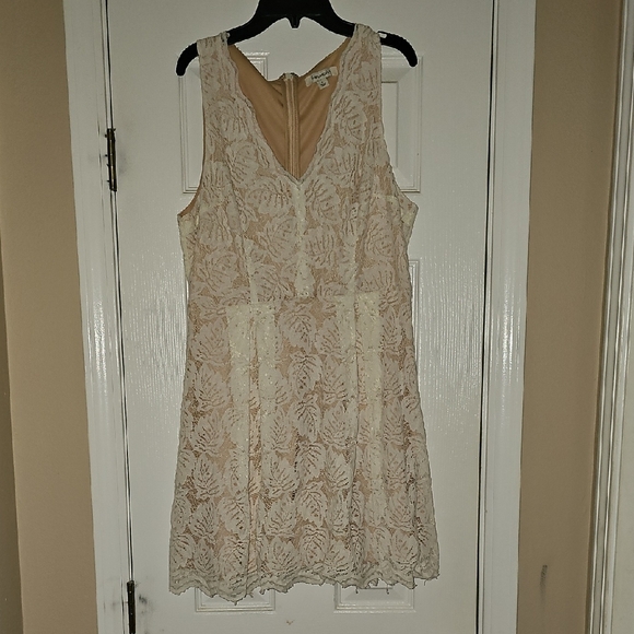 Francesca's Collections Dresses & Skirts - Elegant Cream Lace Dress